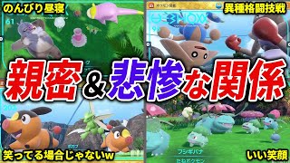 仲良し＆敵対関係のポケモン18選【藍の円盤】