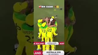 New zealand ❤️‍🩹 sad status ❤️‍🩹 #cricket #cricketlover #sad #viralvideo