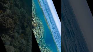 5 Mind-Blowing Facts About Earth You Didn't Know 🌍. #shorts #facts #amazingfacts