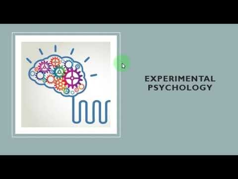 EXPERIMENTAL PSYCHOLOGY:  HOW TO CREATE MODULE FOR INTERVENTION