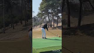 2024년 아저씨 골프 웃긴골프 스윙