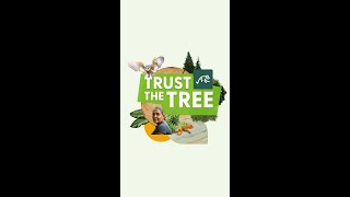 Celebrating FSC Forest Week 2023 | Flooret