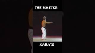 karate nerd kata #brucelee #jackiechan #donnieyen #shorts #martialart