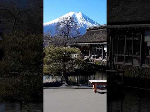 #忍野八海  #富士山世界遺産  #忍野八海から富士山撮影場所