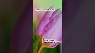 Спокійна релакс музика #ambientmusic #relaxing #calmmusic #nature #flowers #tulip #music