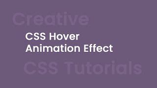 CSS Creative Hover & Animation Effect | csPoint Website Designing tutorials