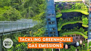 Reducing greenhouse gas emissions with greenery | TLDR