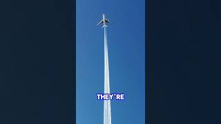 Why planes draw lines in the sky #AviationScience #SkySecrets #FactZoom #DailyFacts