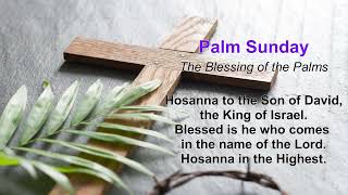 【彌撒唱咩歌】Palm Sunday聖枝主日︱祝聖聖枝︱彌撒一齊唱歌仔🎼🎤🎹🎻🎸🎺🎷 ︱介紹英文聖詠 😇
