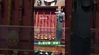 哈利波特迷去德国旅游必逛宝藏店！好多周边！