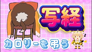 【朝活写経🐥】TOKYOJUNGLEで食べられていったカロリーたちを弔う#写経 🐥#shorts #vtuber  【0725ひよりひよこ】