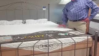 MLily Bedding
