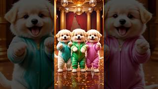 Cute puppy crazy dance🤩| #funnyanimals #dogshorts #funnyvideo #youtubeshorts #shortsfeed #648