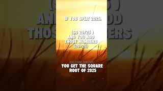Facts about 2025. #shorts #math #2025 #newyear #educational #tricks