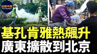 🔥 廣東省遭遇雙重疫情：基孔肯雅熱急劇升溫，登革熱也明顯增長｜基孔肯雅熱已由廣東擴散到北京｜廣東佛山市超4000人感染，重啟核酸篩查、感染者隔離治療，有民眾已隔離6天，網友：「噩夢又來」｜#話題中國