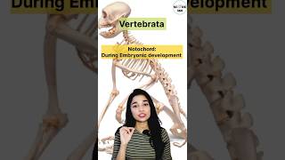 NCERT RAPID 🔥 REVISION | Phylum Chordata Classification - Animal Kingdom class 11 | NEET 2025 #neet