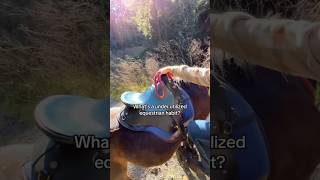 More info in pinned comment #horse #horsecare #equestrian #seniorhorse