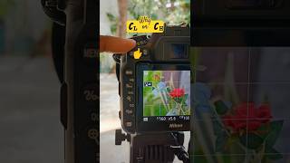 Nikon D7500 Photography Settings | CL and CH Mode #nikond7500 #nikon