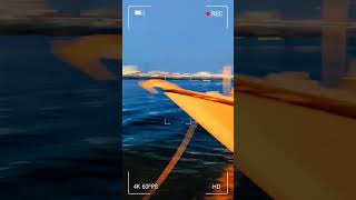 Sharja See Site | #dubailife #dubaivlog #sharjahuae #sharjah #sharjahtourism