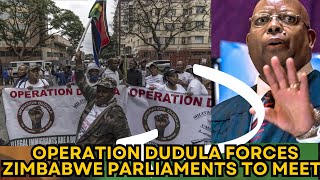 Operation Dudula Forces Zimbabwe Parliament to Explode Over Zimbabweans Denied Healthcare!
