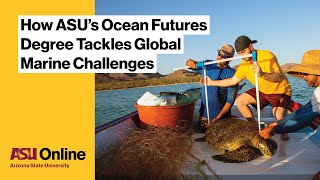 Explore Our Bachelor's in Ocean Futures Offered Online
