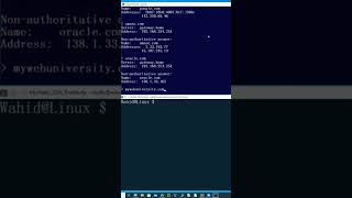 Windows and Linux Name Server Lookup ‘nslookup’ command works the same way