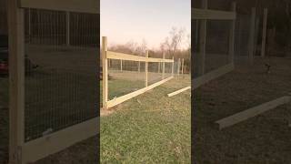 Building a welded wire fence on a nice Saturday.. they don’t know this kind of rich!!