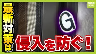見るのも駆除もイヤ！“どこからでも侵入する”ゴキブリ…対策どうすれば？　沖縄に多い大型「ワモンG」が本州に拡大するおそれも！？　最新の「害虫対策グッズ」を取材（2025年7月16日）