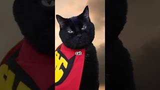Super Hero Cat #viralcats #catshorts