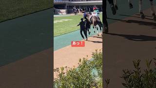 【ルメール騎手にアクシデント!!】 #競馬 #東京競馬場 #ルメール