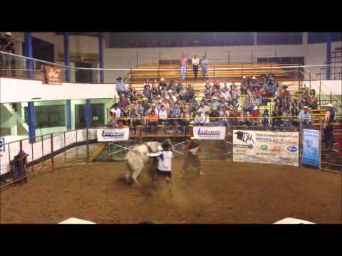 Facebook bucking bull