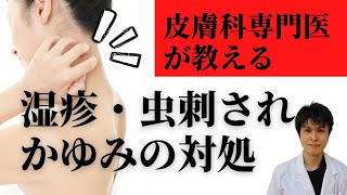 【皮膚科医が教える】湿疹・かゆみ対策