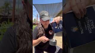 DIY Weed & Grass Spray - 3 ingredients! | 1 gal vinegar, 1 cup salt, 2-3 tbsp dishsoap