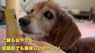なるべく低脂肪のドッグフードやおやつにします（老犬）（老犬ダックス）（シニア犬）