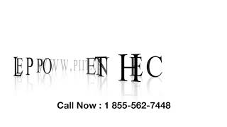 Don't Miss The Chance: Stay Home & Do Class Online with PeopleNTech
