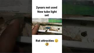 Rat attrocties 💯🤣 #shorts #viralshorts #trending #funnymoments #ratattack #newsetup #micedestination