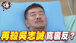 《多情大爆爆》多情城市 EP451 再殺吳志誠   窩裏反？
