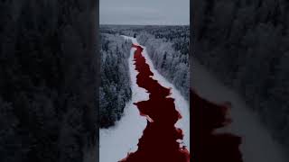 Shuya River, Karelia - Russia  😯😍 #youtubeshorts #shorts  #nature #travel #shortfeed
