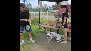 20250623_114年度犬隻行為訓練推廣計劃