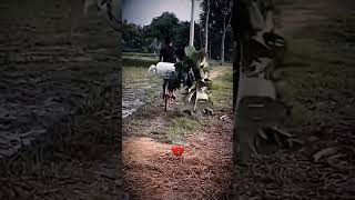 FUNNY VIDEOS OF ALL TIME  #everydaymeme #funnymeme