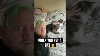 WHEN YOU PET A CAT #djhuntsofficial #catlover #cats #wtf #wtfmoment #funny #funnyvideo #funnyshorts