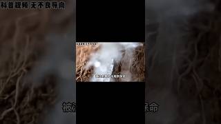 绝对的急救小知识！危机情况时，椰子水可以代替葡萄糖进行输液急救！#废话终结 #shorts #涨知识