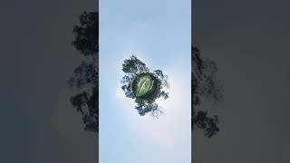 360 view  #360view