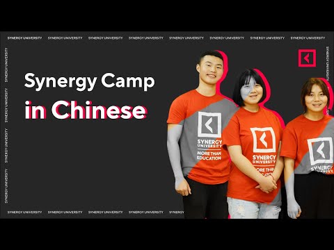 "Synergy Global Camp" in Chinese
