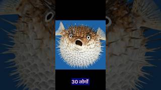 Top Five Amazing Facts 🤯🤯 #shortvideo #facts #amanzingfacts #factmine #factholic #factgyan