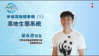【名家講科學】米埔濕地知多啲 (1) 濕地生態系統｜世界自然基金會香港分會