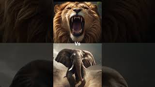 "Panther vs Lion vs Bear vs Tiger – Ultimate Wild Battle!"#AnimalFight  #WildBattle  #PantherVsLion