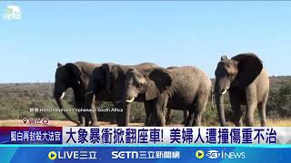 野生動物園大象失控 南非CEO慘死腳下｜94要賺錢
