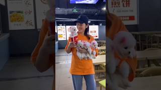 teacup dog breeds / teacup puppies 🐕 #shorts #dog #toys #cute #puppy