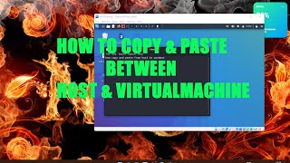 kali linux how to copy & paste between host & virtual machine